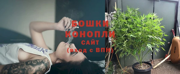 молекула духа Заводоуковск