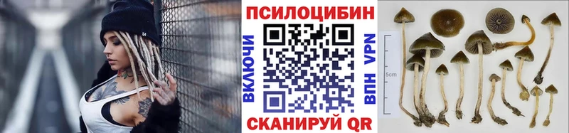 Псилоцибиновые грибы MAGIC MUSHROOMS  Карпинск 